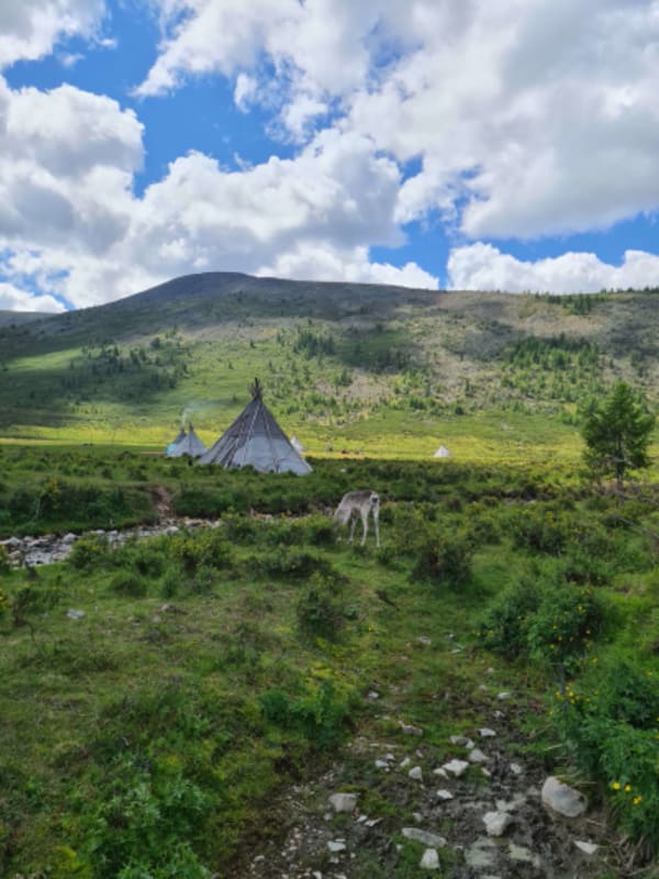 Taiga Trails: A Majestic Horse Trek to the Dukha Reindeer Herders - 14