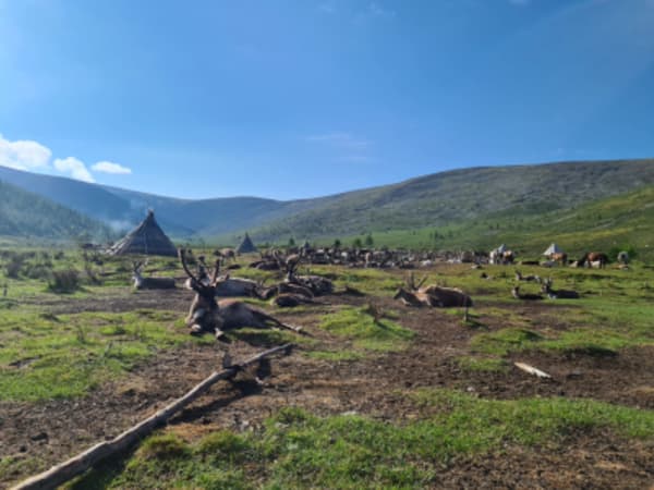 Taiga Trails: A Majestic Horse Trek to the Dukha Reindeer Herders - 16