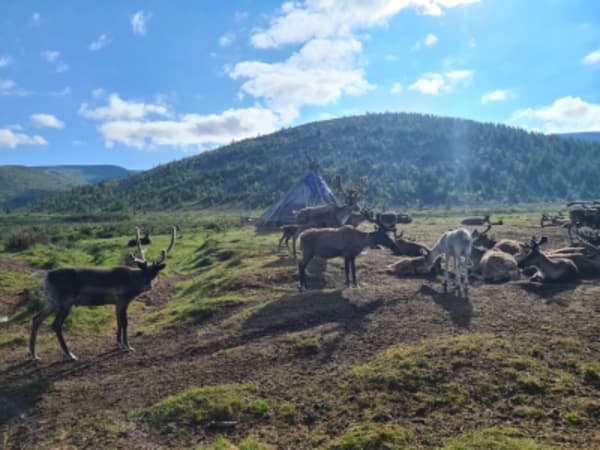 Taiga Trails: A Majestic Horse Trek to the Dukha Reindeer Herders - 12