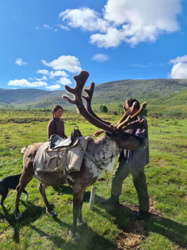 Taiga Trails: A Majestic Horse Trek to the Dukha Reindeer Herders - 23