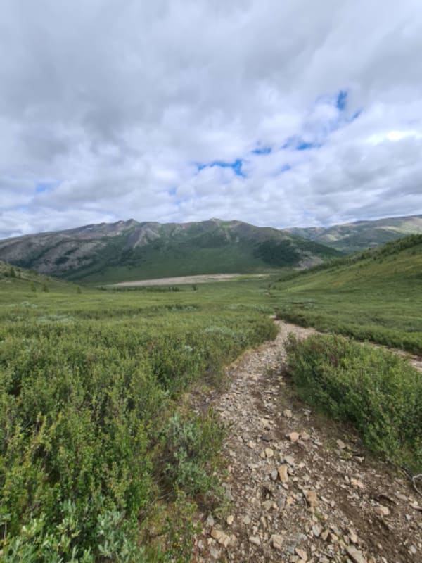 Taiga Trails: A Majestic Horse Trek to the Dukha Reindeer Herders - 26