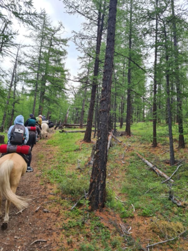 Taiga Trails: A Majestic Horse Trek to the Dukha Reindeer Herders - 61