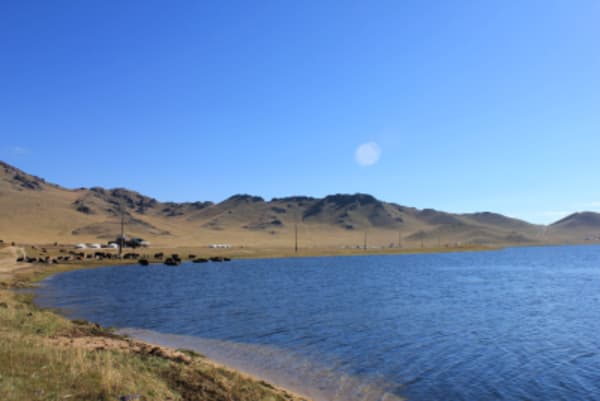 Taiga Trails: A Majestic Horse Trek to the Dukha Reindeer Herders - 37
