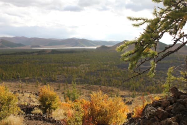 Taiga Trails: A Majestic Horse Trek to the Dukha Reindeer Herders - 42