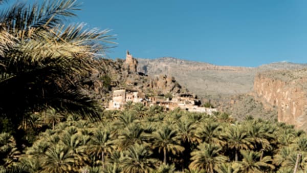 Timeless Oman: A 7 Day Journey Through Nature, Culture, and History - 7