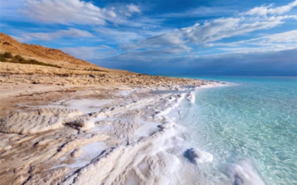 A Taste of Jordan: A Culinary Odyssey - 10