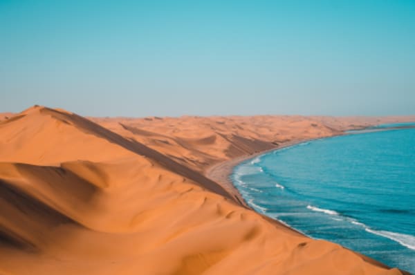 Wings Over the Dunes - 1
