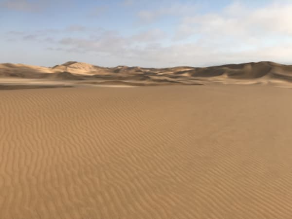 Wings Over the Dunes - 2