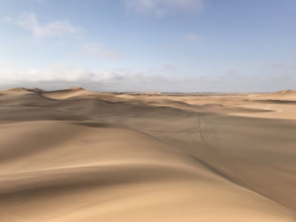 Wings Over the Dunes - 3