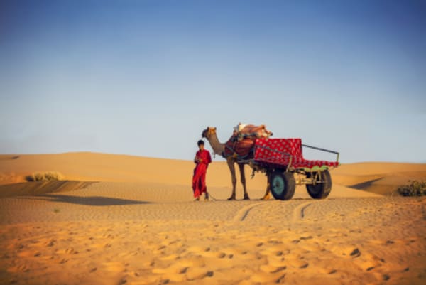 Royal Rajasthan - 1