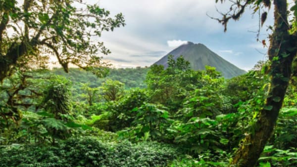 Tropical & Wellness Trip in Costa Rica - 5