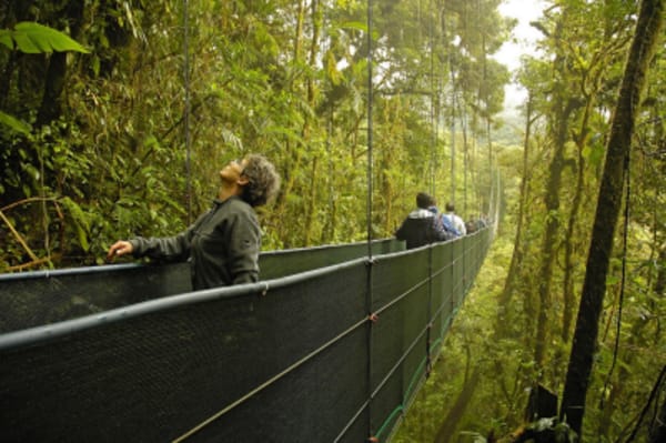 Tropical & Wellness Trip in Costa Rica - 6