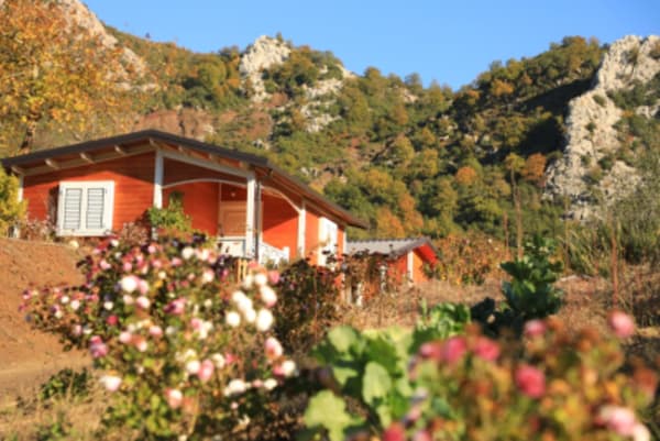 The North of Albania - 7