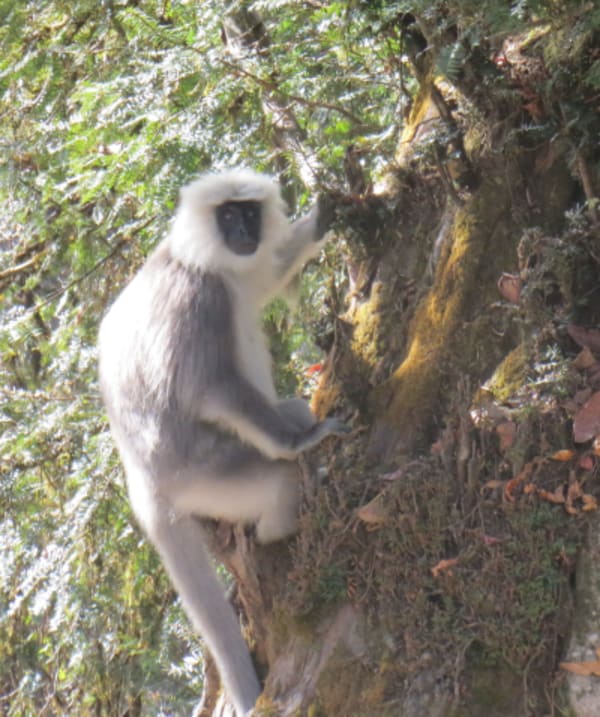 Eastern Bhutan Explorer - 4