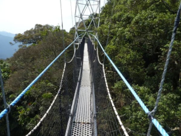 Luxury Adventure & Cultural Journey with Gorillas - 21