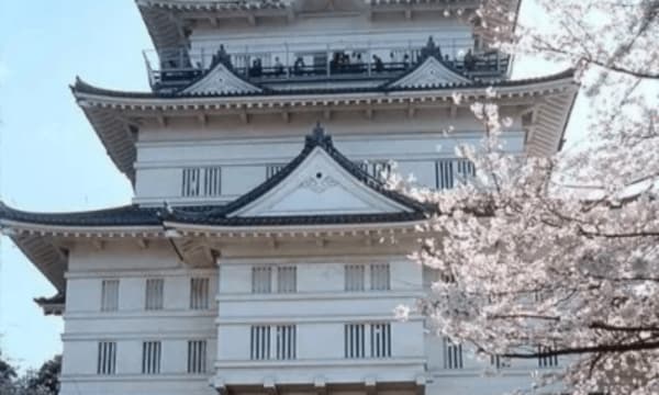 9 Day Independent Japan - 8