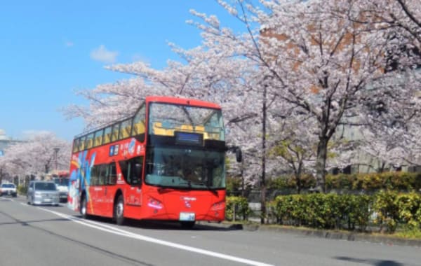 9 Day Independent Japan - 12