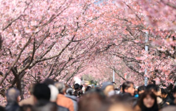9 Day Independent Japan - 27