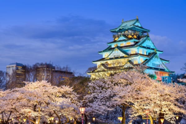 Japan's Big Four 11 Days - 11