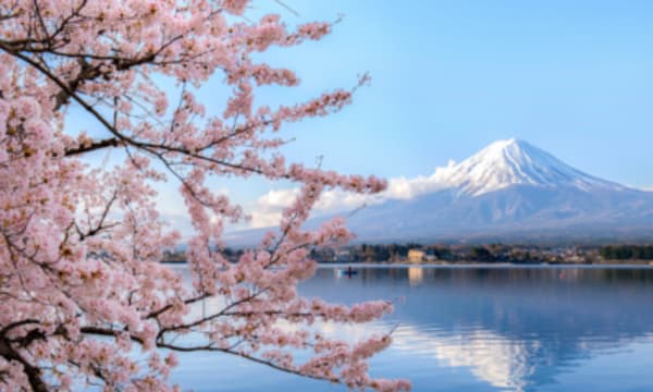 Japan Share a Trip - 41