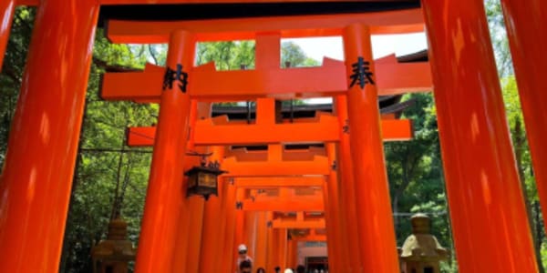 Japan Share a Trip - 47