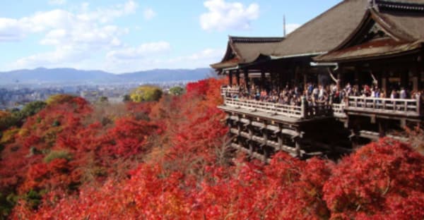 Japan Share a Trip - 50