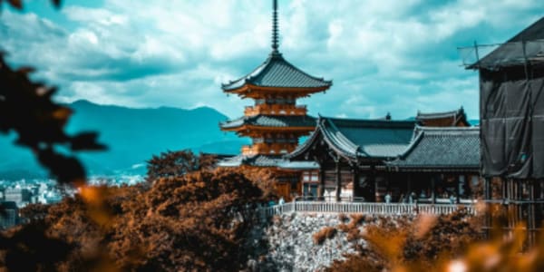 Japan Share a Trip - 45