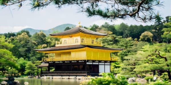 Japan Share a Trip - 46