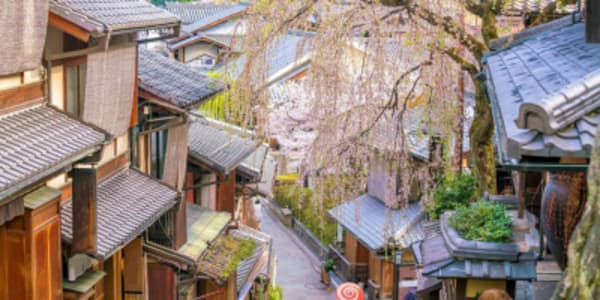 Japan Share a Trip - 51