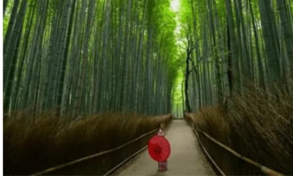 Japan Share a Trip - 56