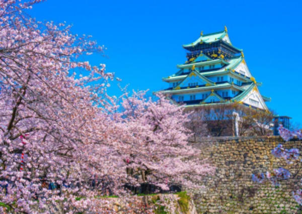 Japan Share a Trip - 58