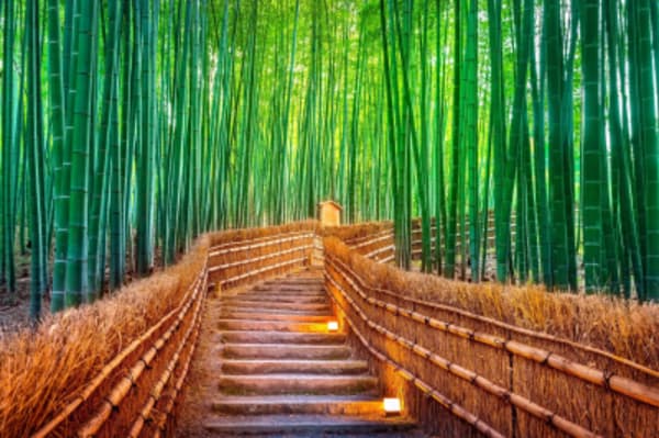 Japan Share a Trip - 11