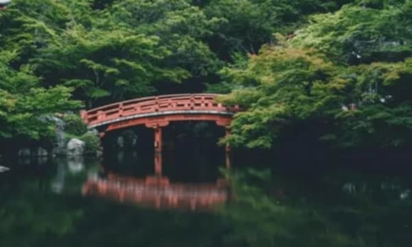 Japan Share a Trip - 17