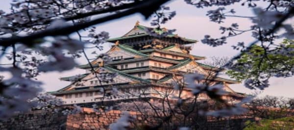 Japan Share a Trip - 4