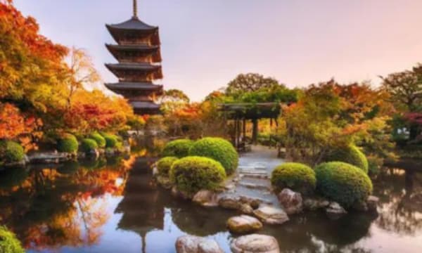 Japan Share a Trip - 14