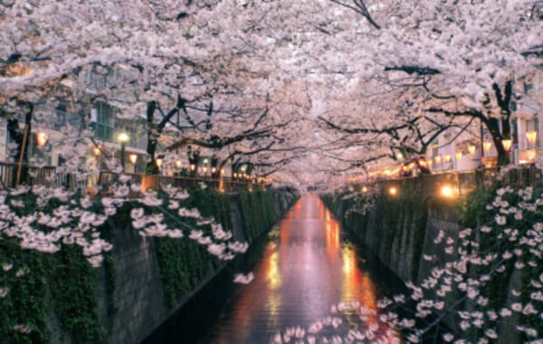 Best of Osaka, Kyoto and Hiroshima 6 Days - 8