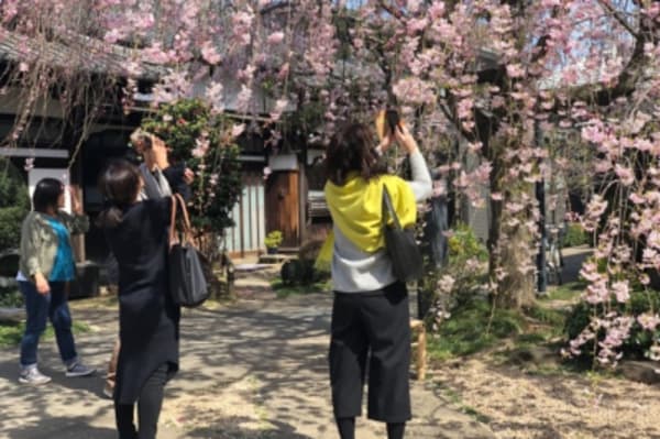 Best of Osaka, Kyoto and Hiroshima 6 Days - 10
