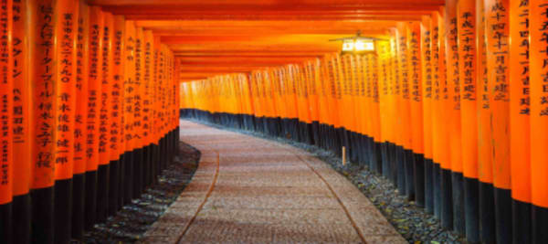 Best of Osaka, Kyoto and Hiroshima 6 Days - 28