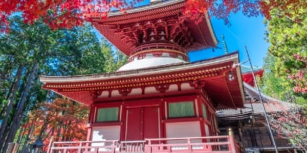 Best of Osaka, Kyoto and Hiroshima 6 Days - 34