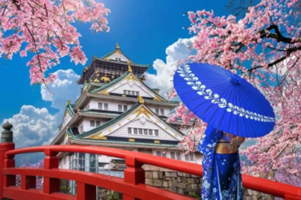 Best of Osaka, Kyoto and Hiroshima 6 Days - 38