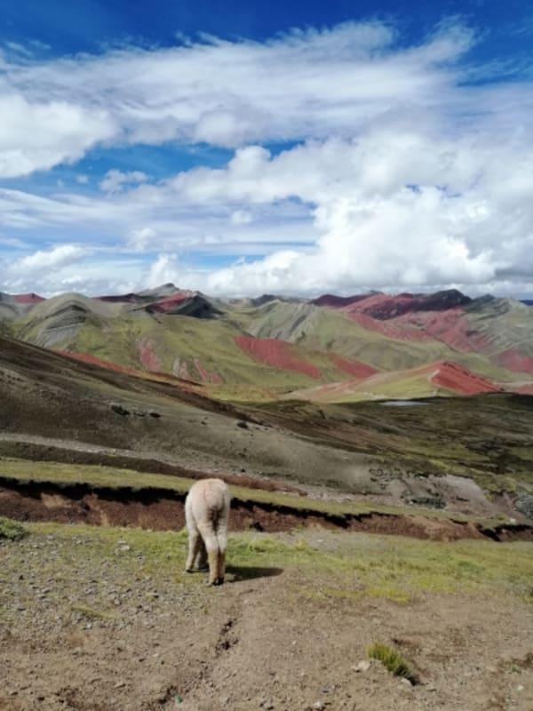 Cusco : Panorama of an Andean Region - 13