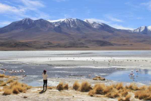 Uyuni Salt Flats & Desert Adventure 5D/4N (La Paz to La Paz) - 18