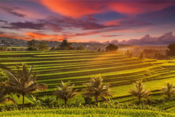 Indonesia Island Treasures: Jakarta - Senggigi - Gili Trawangan - Ubud -Labuan Bajo - Seminyak - 22