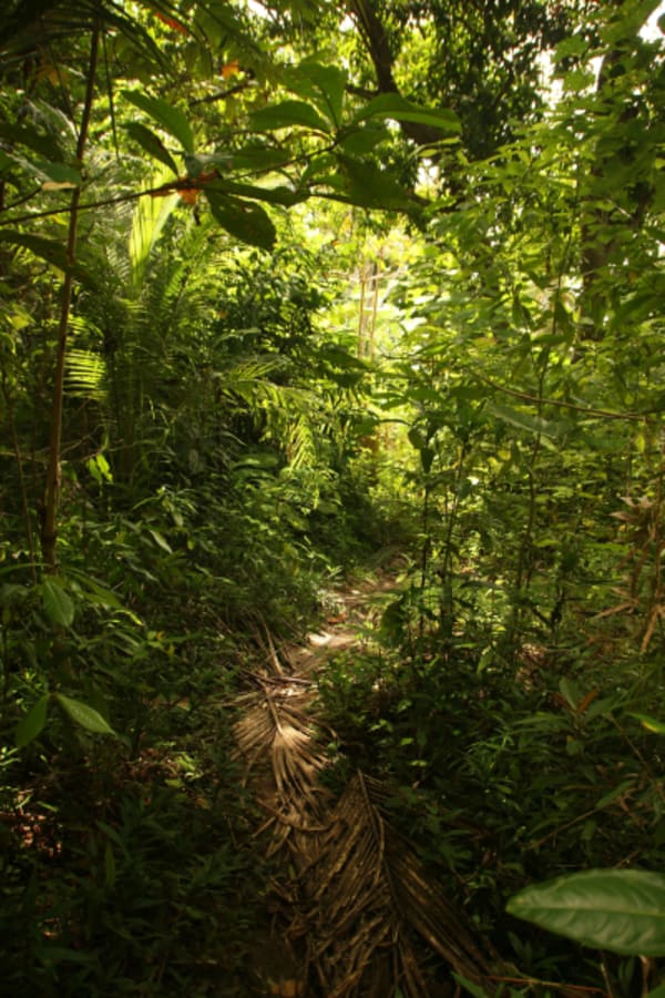 Lost City Trek 4D/3N - 22