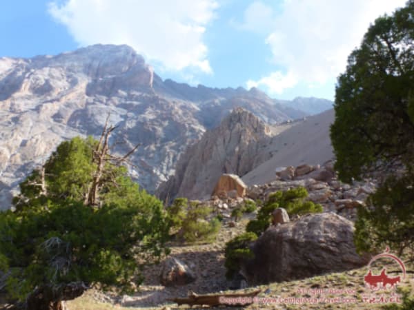 Silk Road Adventure: Fann Mountains & Best of Uzbekistan - 30