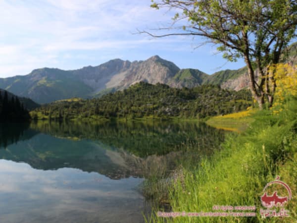 Jewels of the Tien Shan & Pamirs: Sary-Chelek & the Fann Mountains - 4