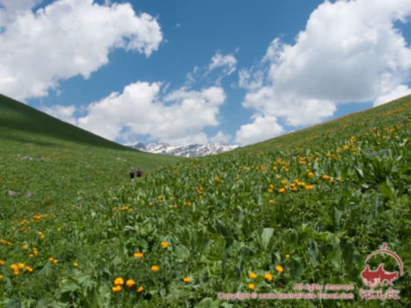Jewels of the Tien Shan & Pamirs: Sary-Chelek & the Fann Mountains - 8