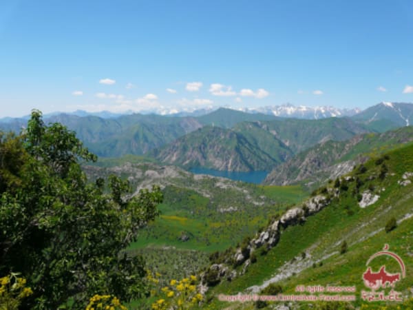 Jewels of the Tien Shan & Pamirs: Sary-Chelek & the Fann Mountains - 12