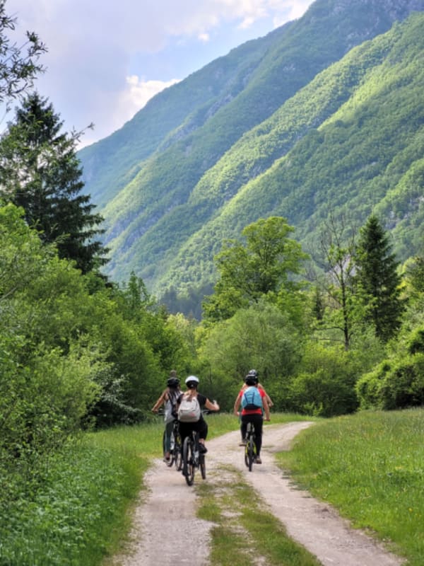 Self guided Bike tour from the Julian Alps to the Adriatic sea - 12