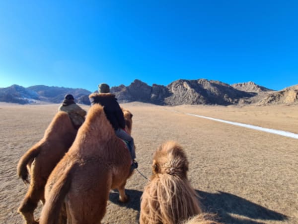 The Great West Expediton:  Arkhangay, Zavkhan, Altai and Almakuk Eagle Festival - 3